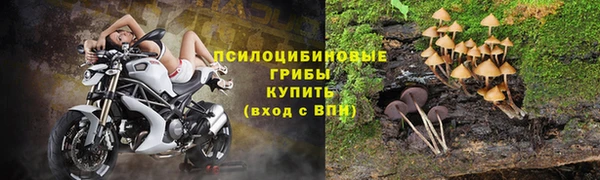мяу мяу мука Балахна